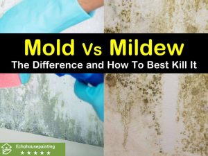 Kilz Mold and Mildew: Everything You Need to Know in 2025